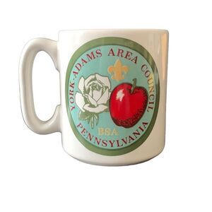 Vintage Boy Scouts Scout York Adams Pa Area Council Fall Round Up Mug